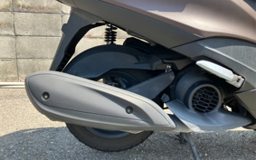 YAMAHA  AXIS Z