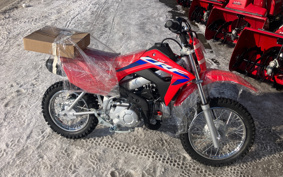 HONDA CRF110F JE02