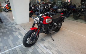 DUCATI  DUCATI  SCRAMBLER  ICON  2021 3K00