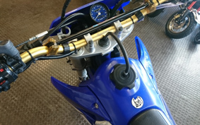 YAMAHA WR250F CG16W
