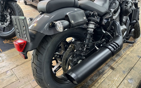 HARLEY  HARLEY RH975 NIGHT  STAR  2022 ZH1