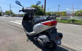 YAMAHA AKUSHI STREET SE53J