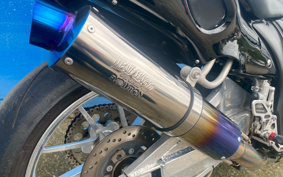 SUZUKI GSX1300R HAYABUSA  LIMITED  2006 GW71A