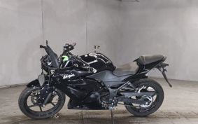 KAWASAKI NINJA250R EX250K