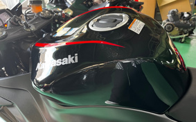 KAWASAKI NINJA ZX-6R 2022 ZX636G