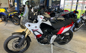 YAMAHA TENERE 700 2020 DM09J