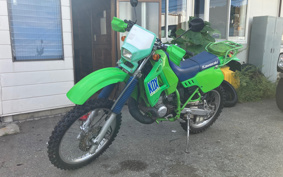 KAWASAKI KDX200SR DX200G