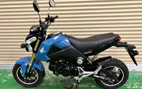 HONDA GROM JC61