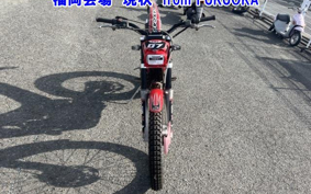 OTHER TXT250 PRO 