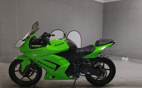 KAWASAKI NINJA250R EX250K