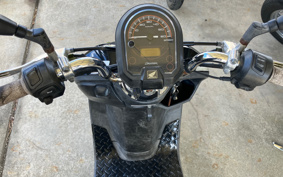 HONDA DUNK AF78