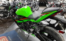 KAWASAKI NINJA ZX-6R KRT ED 2024 ZX636J