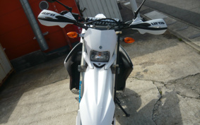 YAMAHA WR250R DG15J
