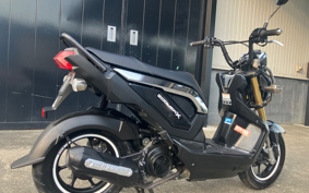 HONDA ZOOMERX JF52