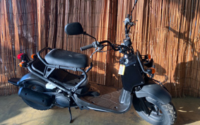 HONDA ZUMAR AF58