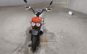 HONDA ZUMAR AF58