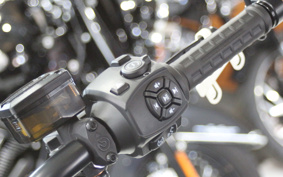 HARLEY  HARLEY RH975S NIGHT  STAR  2023 ZF1