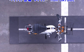 HONDA MONKEY