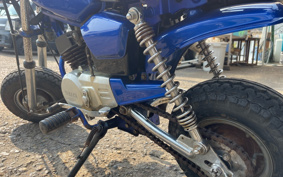 YAMAHA POCKET50 4U1