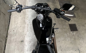 HARLEY  HARLEY FXFBS 2023 YLK