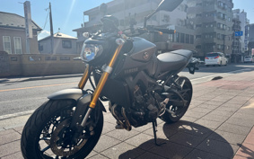 YAMAHA MT-09 2014 RN34J