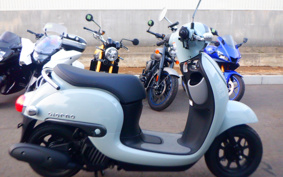 HONDA GIORNO AF77