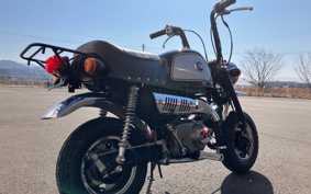 HONDA GORILLA Z50J