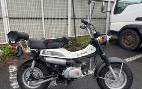 SUZUKI RV50 RV50