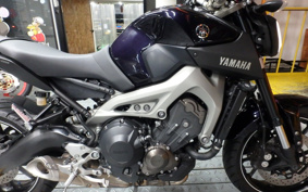 YAMAHA MT-09 2014 RN34J