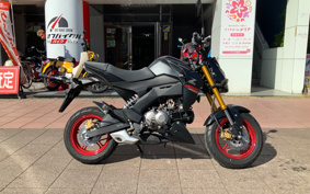 KAWASAKI Z125 PRO BR125H