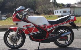 YAMAHA RZ250RR 29L