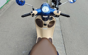 HONDA GIORNO AF77