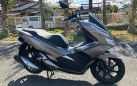 HONDA PCX125 JF81