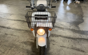 HONDA  BENLY  PRO  AA05
