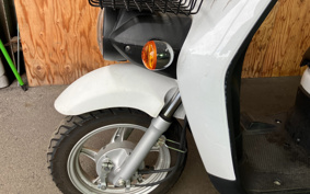 HONDA BENLY PRO AA05