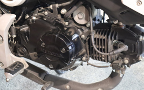 HONDA GROM JC61