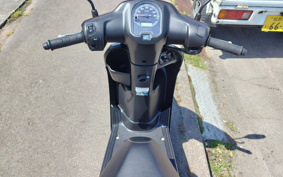 HONDA  TACT  BASIC  AF79