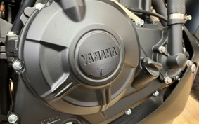 YAMAHA MT-25 RG74J