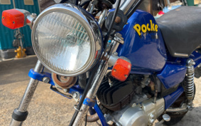 YAMAHA POCKET50 4U1