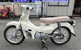 OTHER C110-3