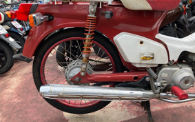 HONDA SUPER CUB50 C50