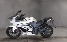 KAWASAKI NINJA250R EX250K