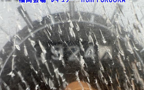 SUZUKI ADDRESS V50