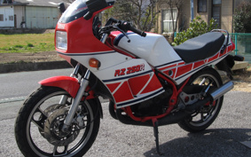 YAMAHA RZ250RR 29L