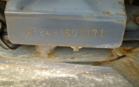 HONDA GIORNO AF24