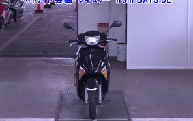 OTHER  LEAD 110EX