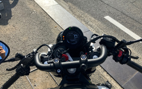 YAMAHA XSR900 2019 RN56J