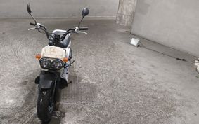 HONDA ZUMAR AF58