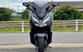 HONDA  FORZA 250 MF13