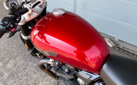 TRIUMPH  TRIUMPH  SPEED  TWIN  2021 DAD85H
